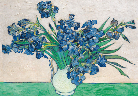 1000피스 직소퍼즐 하얀배경의 아이리스 학산문화사 HS201993