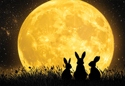 1000피스 직소퍼즐 보름달과 토끼 퍼즐피플 PZP1000-002