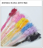 프리저브드 라그라스 (8가지 색상)
