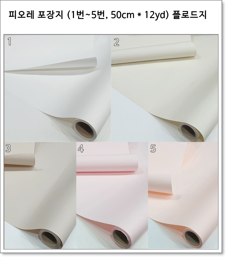 피오레 포장지 (1번~5번, 50cm * 12yd) 플로드지