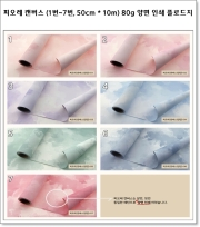 피오레 캔버스 (1번~7번, 50cm * 10m) 80g 양면 인쇄 플로드지