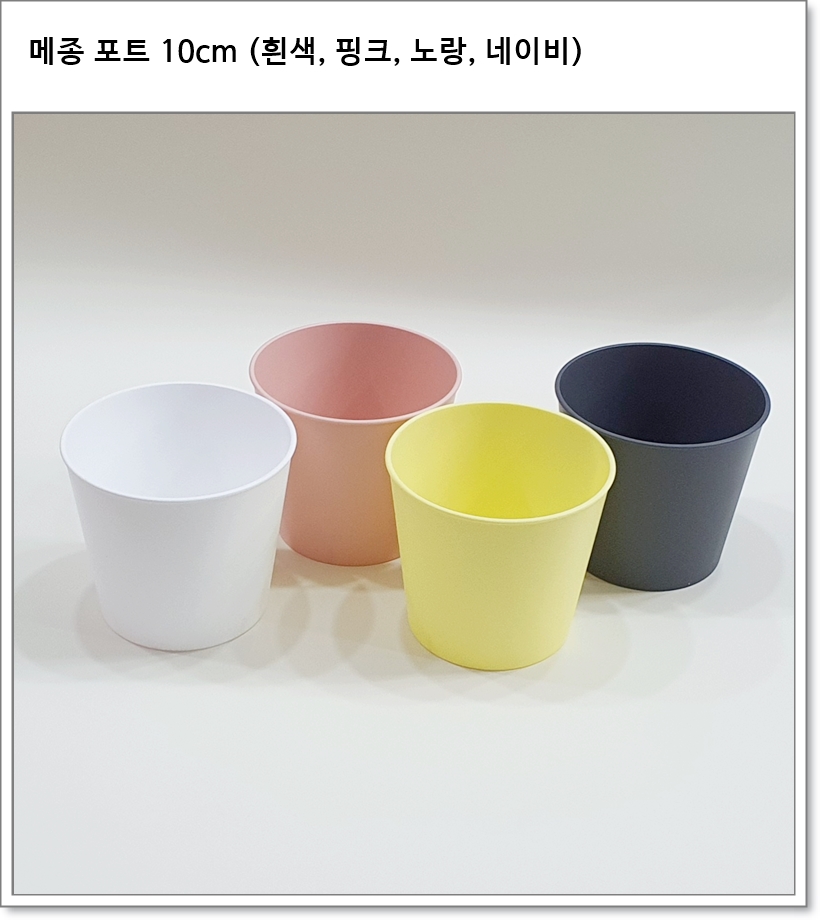 메종 포트 10cm 10 개 1묶음  (흰색, 노란색, 핑크, 네이비)