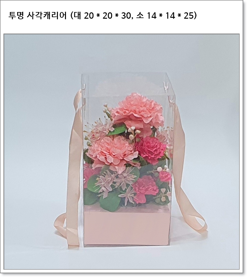 투명 사각캐리어 (대 20 * 20 * 30, 소 14 * 14 * 25)