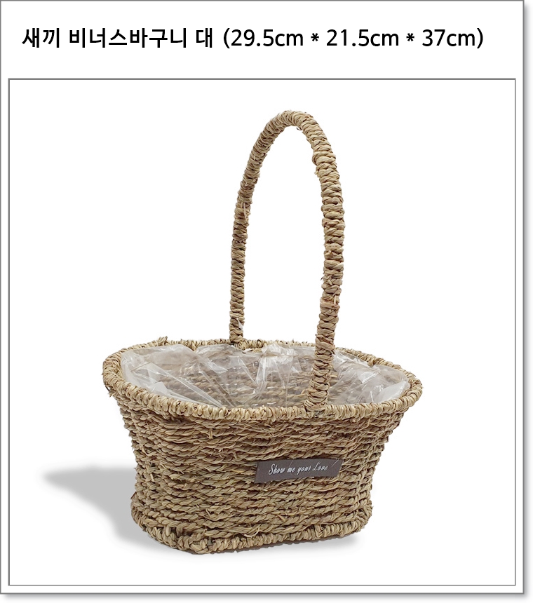 수초 비너스 바구니 대