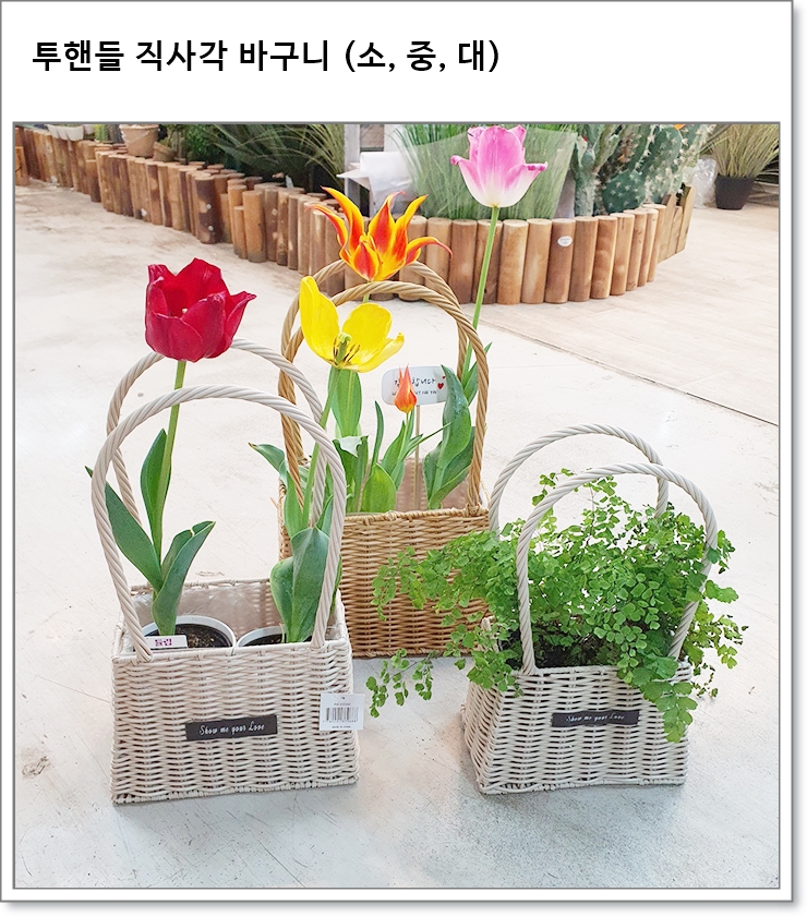 투핸들 직사각바구니 (소, 중, 대)