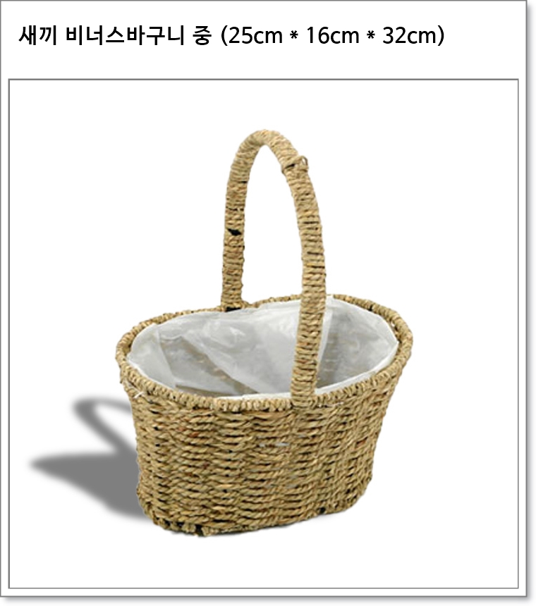 수초 비너스 바구니 중