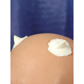 Horn Nubs #70작은 뿔