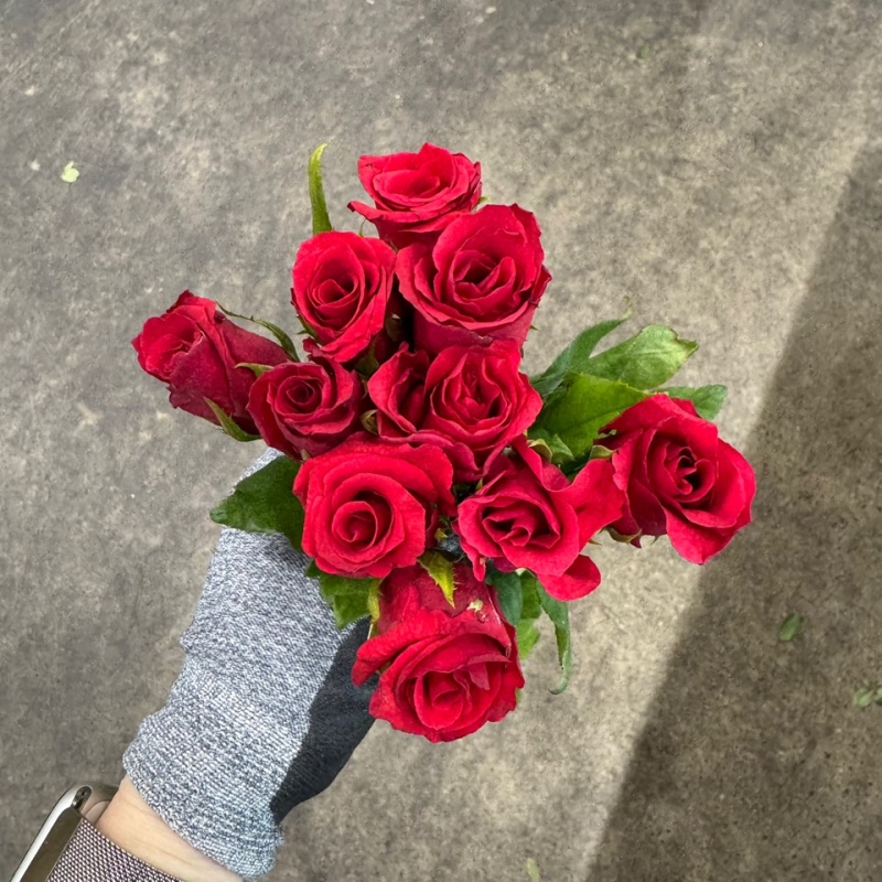 비탈 중 1단 4800원