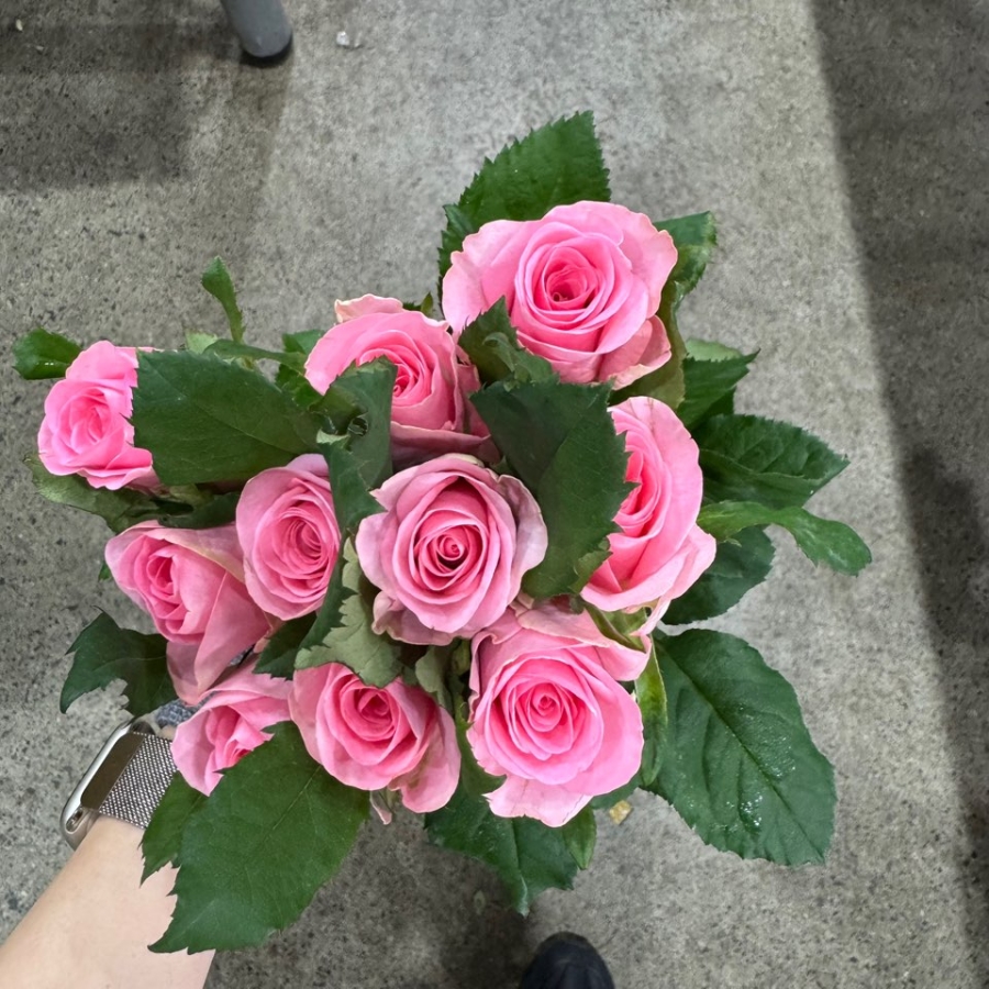 장미 엘리자 1단 6800원