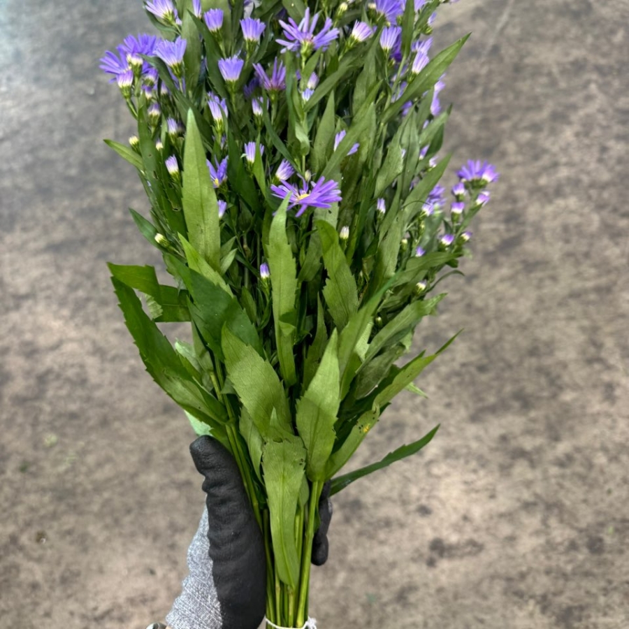 청공작 1단 7200원