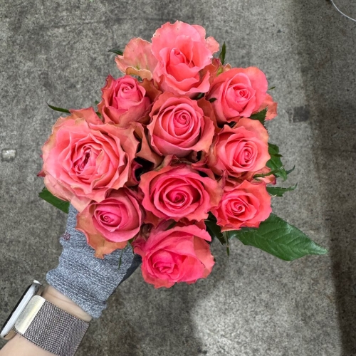 장미 데코라 1단 5300원