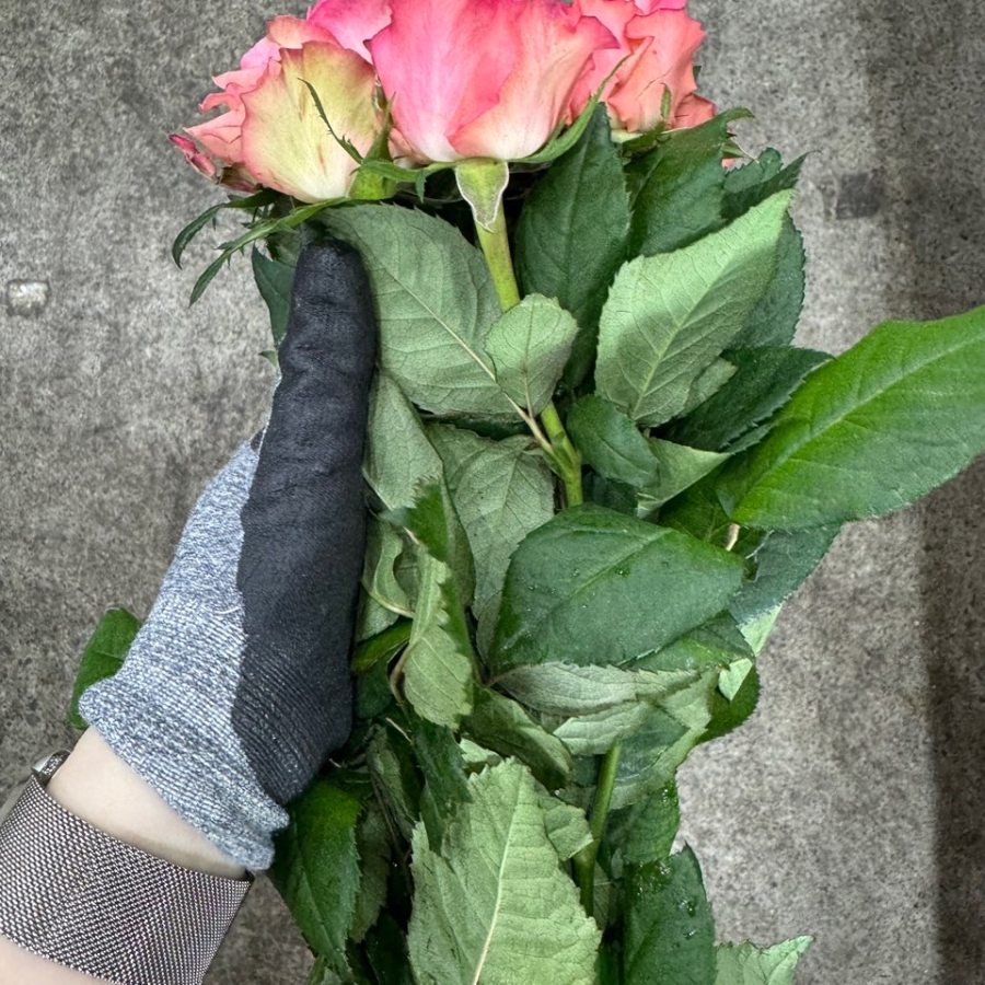 장미 데코라 1단 5300원