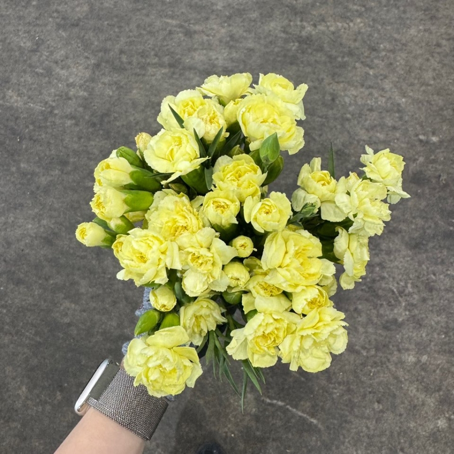 옐로우 스프레이 카네이션 1단 2800원