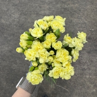 옐로우 스프레이 카네이션 1단 2800원