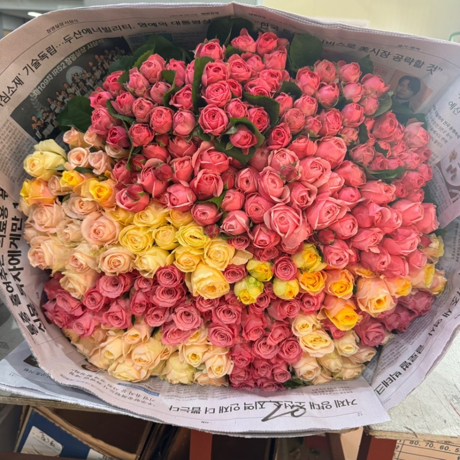 2170 혼합 장미 20단 (1단 5500원)