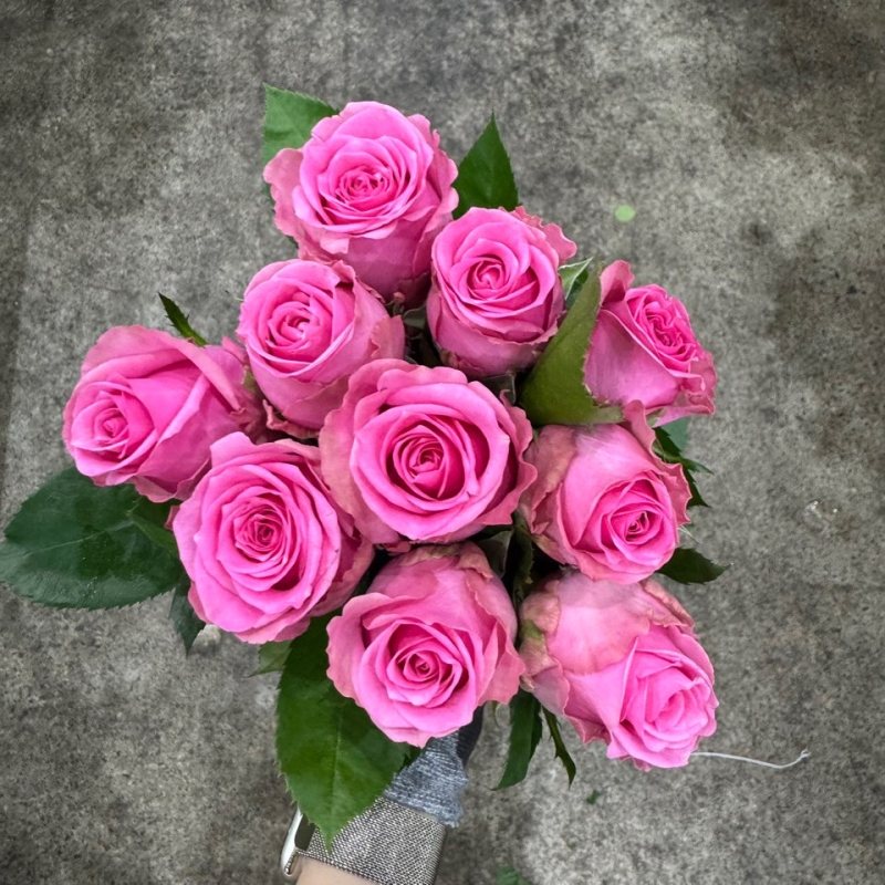 장미 파엘라 1단 8900원