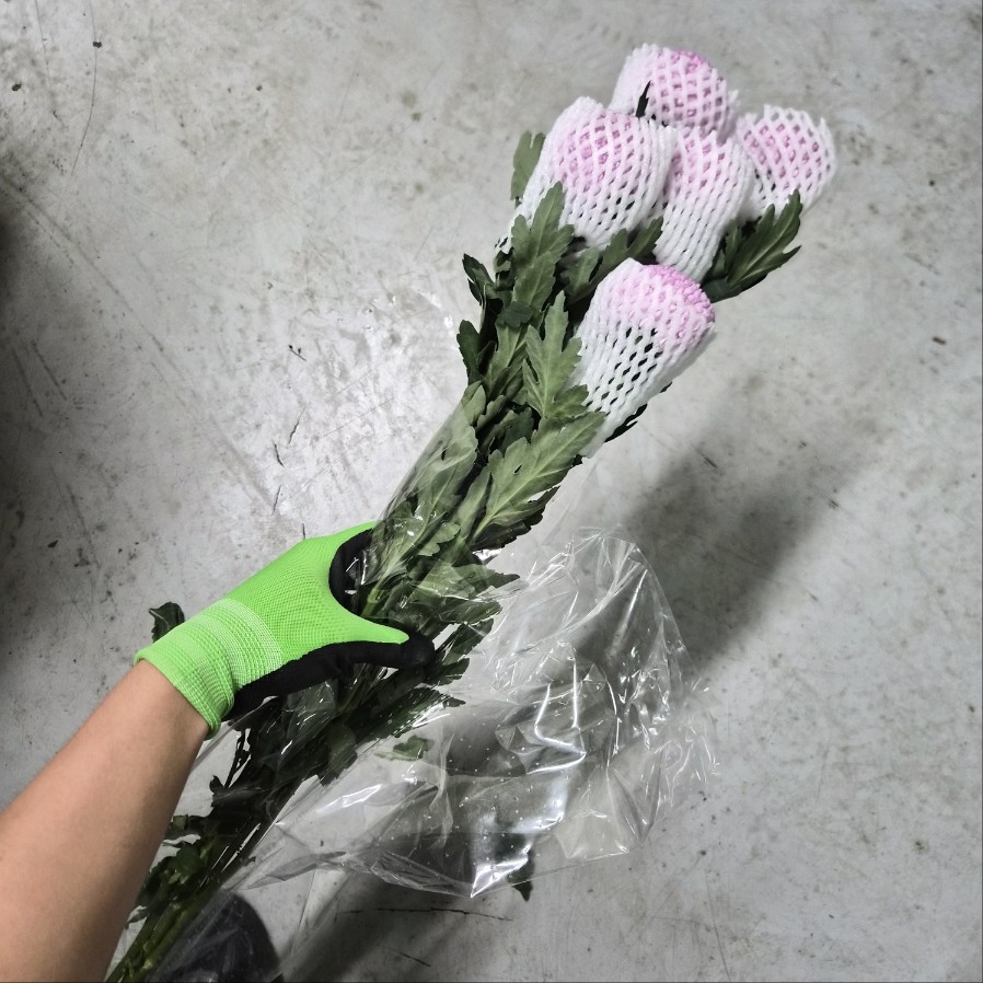 수입 중국 본본/퐁퐁 핑크 1단 7300원