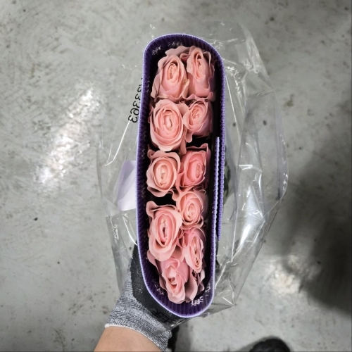 수입 중국 RB28 캐서린 1단 9900원