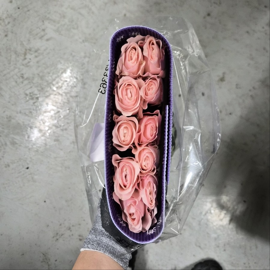수입 중국 RB28 캐서린 1단 9900원