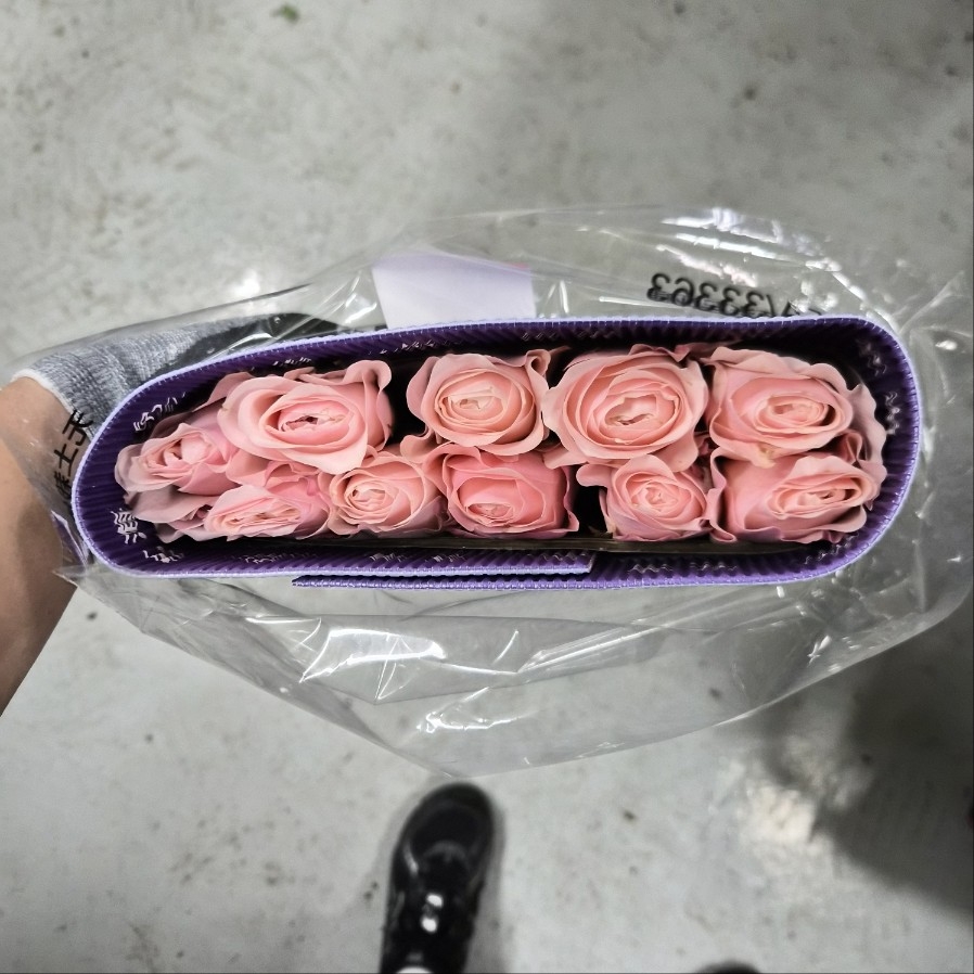 수입 중국 RB28 캐서린 1단 9900원