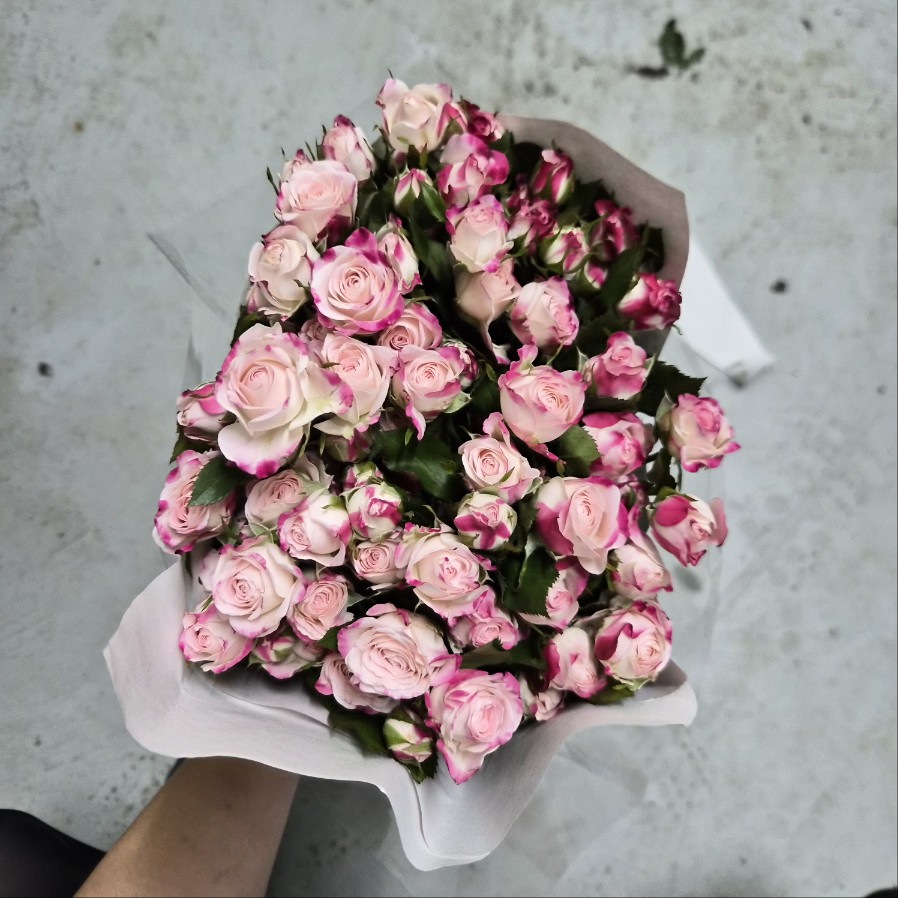 수입 중국 RSB19 투톤 스프레이 1단 14500원