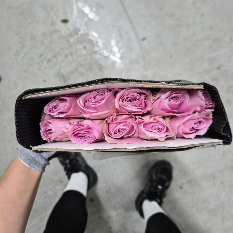 수입 중국 RB7 핑크 1단 9700원