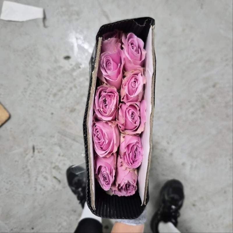 수입 중국 RB7 핑크 1단 9700원
