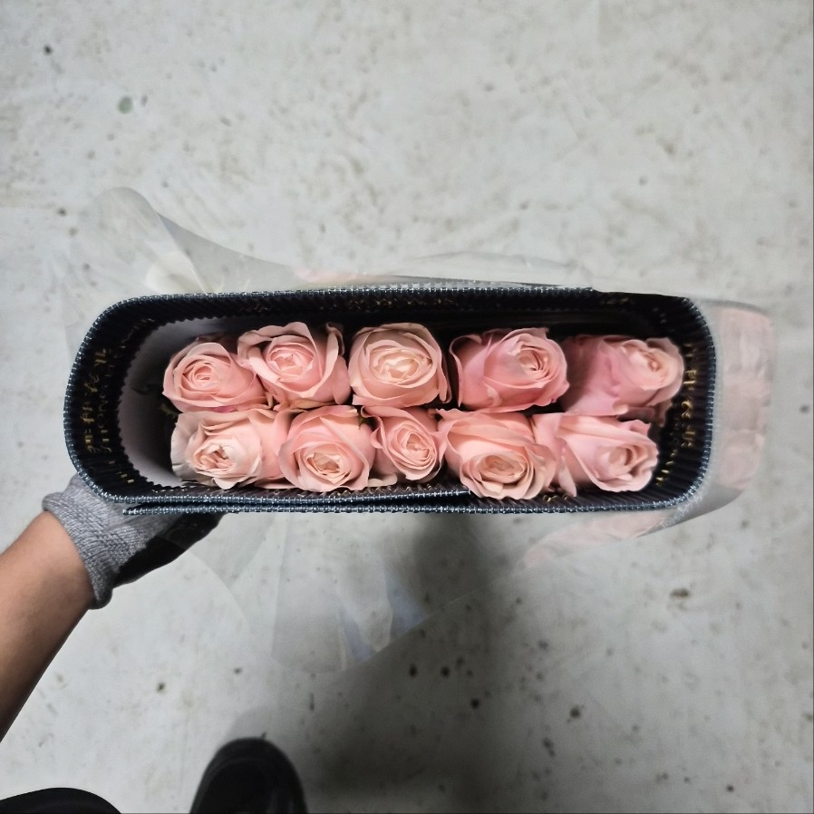 수입 중국 RC28 캐서린 1단 7800원