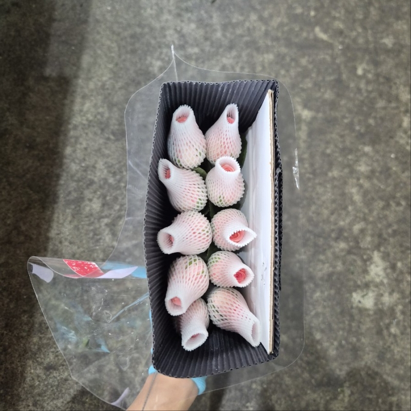 수입 중국 RB25 장미 1단 9800원