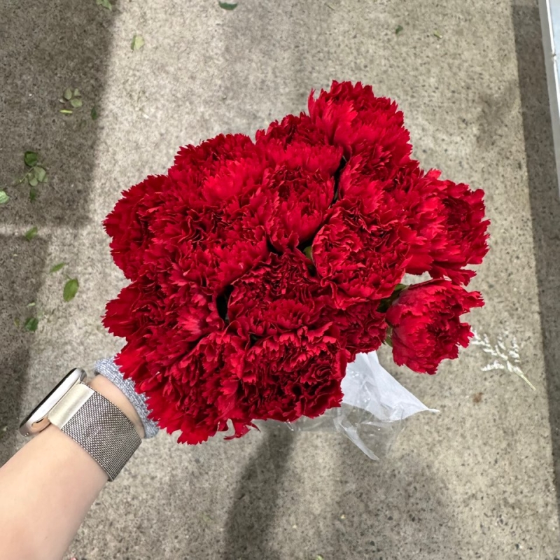 수입 중국 카네이션 레드 1단 10500원