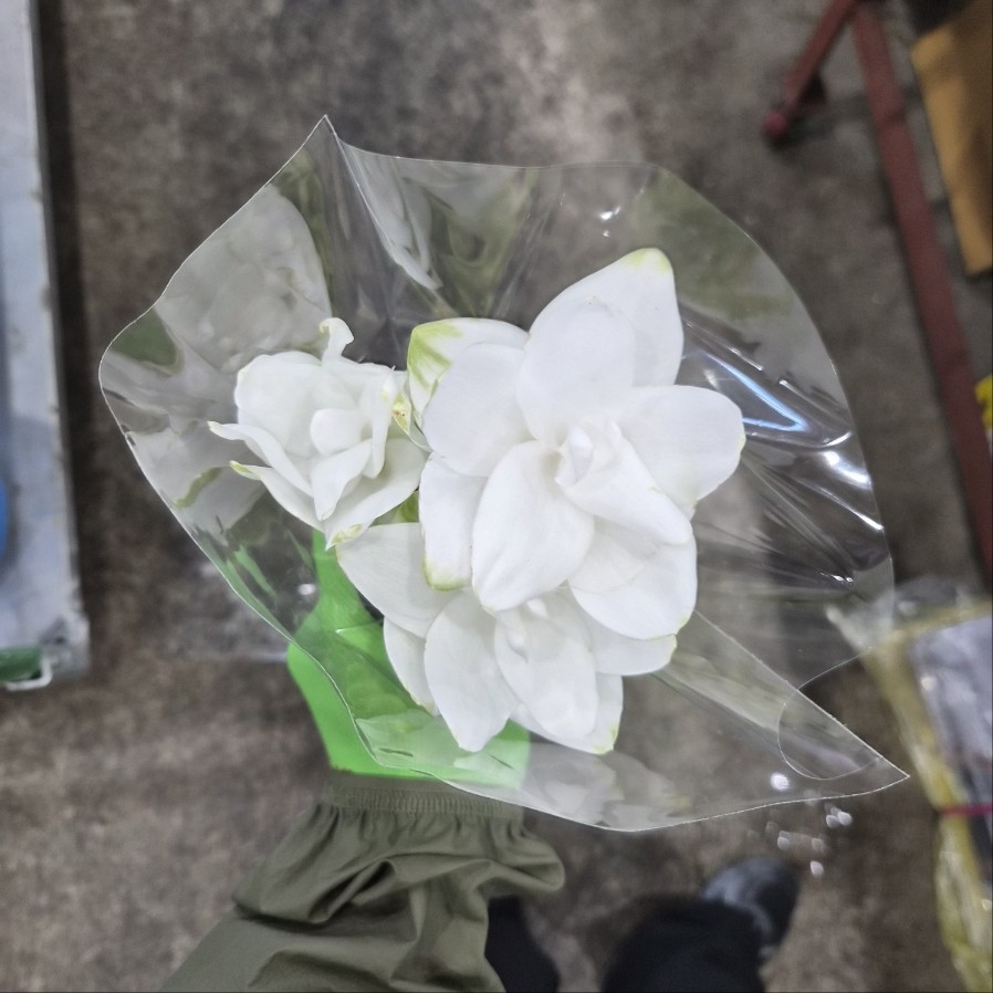 쿠루쿠마 1단 2900원