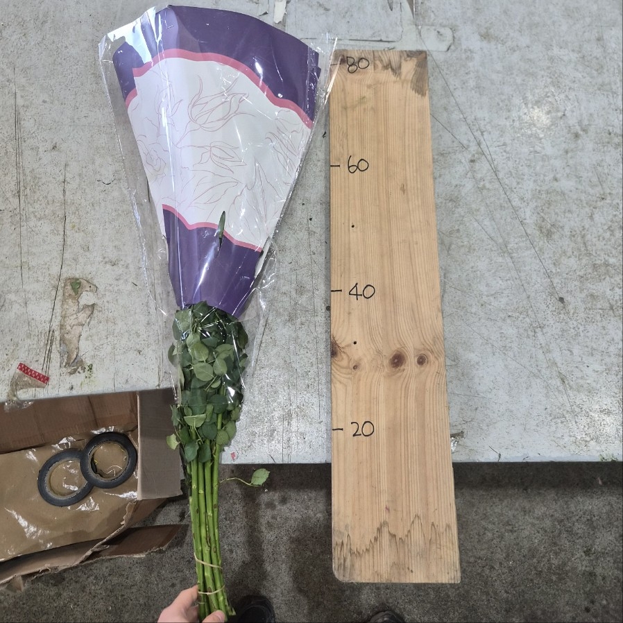 수입 중국 RSB 스프레이 그린 1단 15500원
