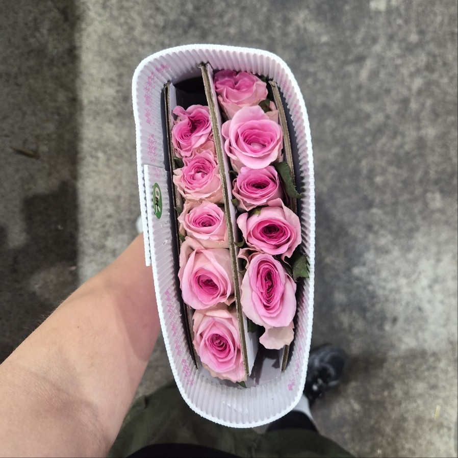 수입 중국 만다라 A 1단 10800원