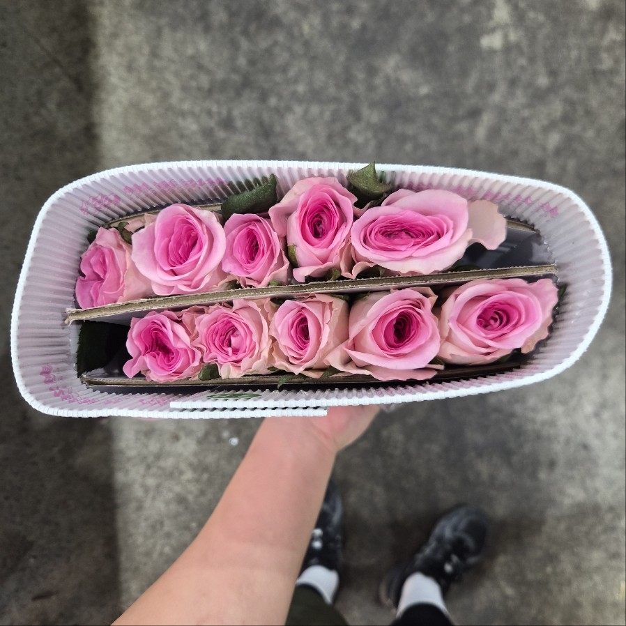 수입 중국 만다라 A 1단 10800원