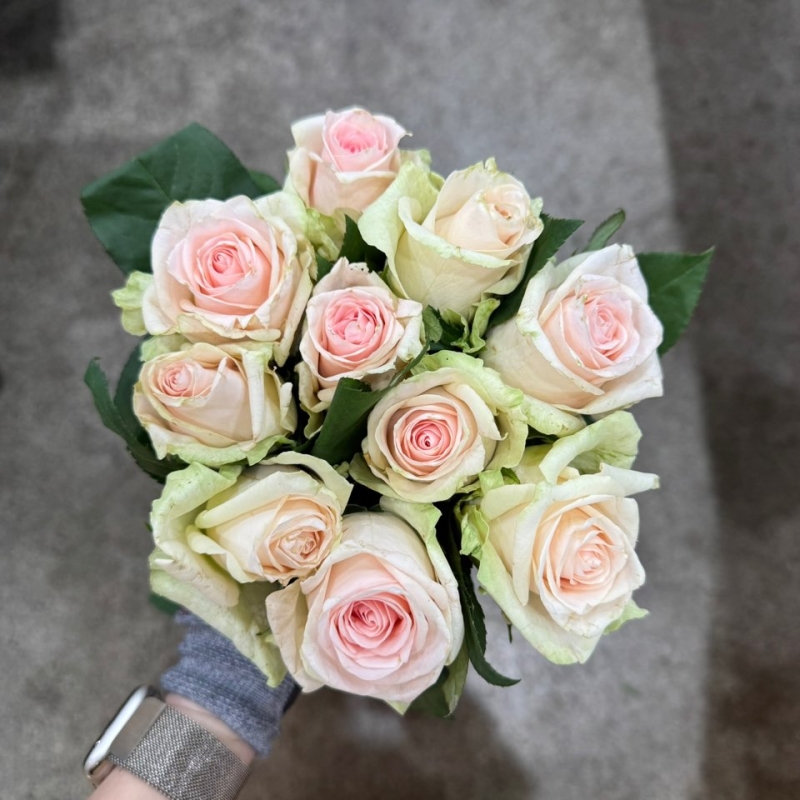 ① 장미 빅토리아 1단 7100원