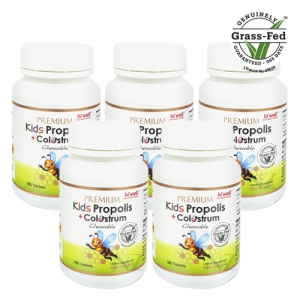 하이웰 프리미엄 키즈 프로폴리스 + 초유 180츄어블정 5개 [무료배송]