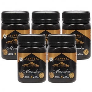 뉴질랜드 꿀 에그몬트 마누카 허니  UMF 15+ 500g 5통 [무료배송]