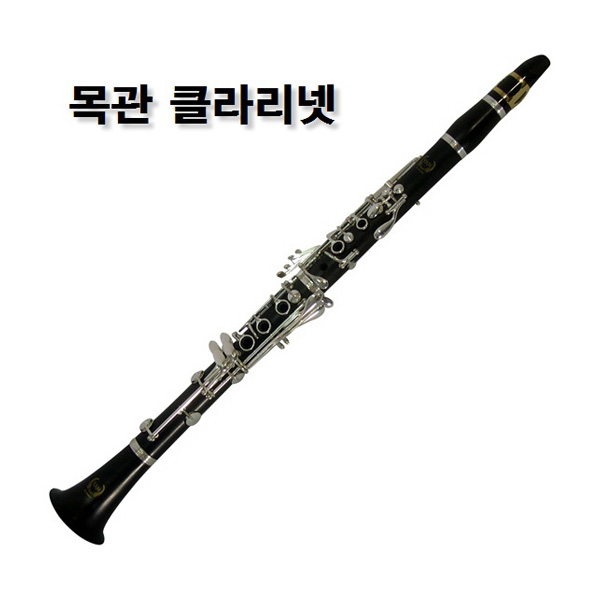 YAN 얀 클라리넷(목관) Y-764BW