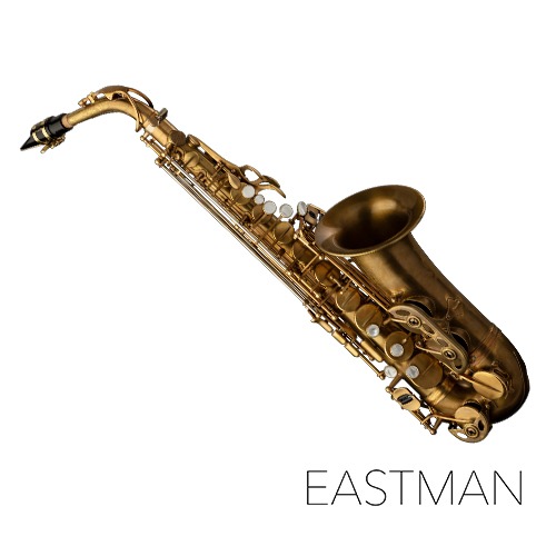 EASTMAN 이스트만 알토 색소폰 EAS652(Eb) 전문가용 색소폰 EASTMAN 이스트만 알토 색소폰 EAS652(Eb) 전문가용 색소폰