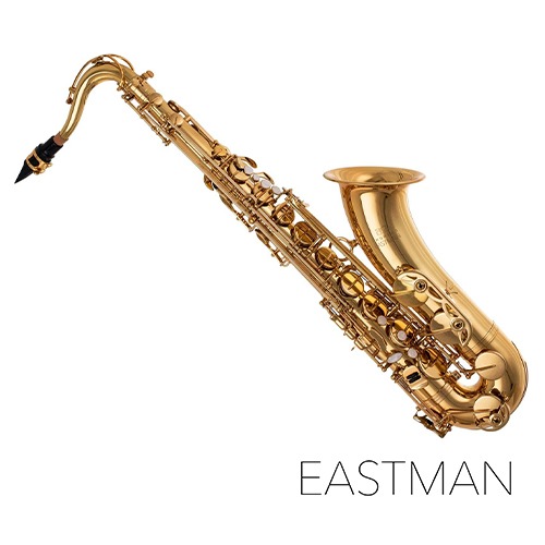 EASTMAN 이스트만 테너 색소폰 ETS223(Bb) EASTMAN 이스트만 테너 색소폰 ETS223(Bb)