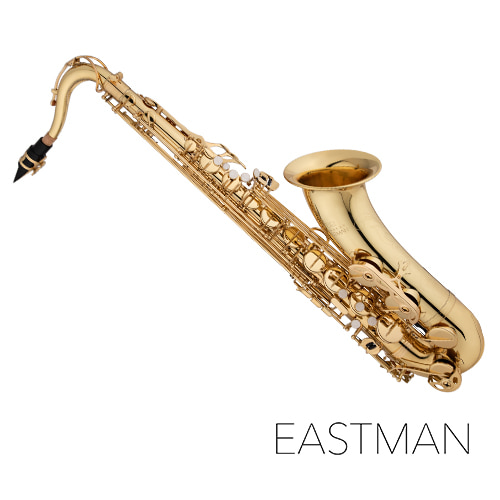 EASTMAN 이스트만 테너 색소폰 ETS850(Bb) 전문가용 색소폰 EASTMAN 이스트만 테너 색소폰 ETS850(Bb) 전문가용 색소폰