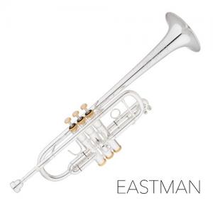 EASTMAN 이스트만 트럼펫 ETR534GS(구530GS) (실버+골드 C)