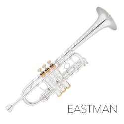 EASTMAN 이스트만 트럼펫 ETR534GS(구530GS) (실버+골드 C)