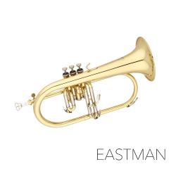 EASTMAN 이스트만 프루겔호른 EFG412 (Bb)