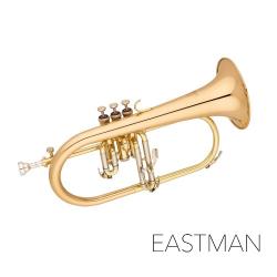EASTMAN 이스트만 프루겔호른 EFG512G (Bb)