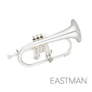 EASTMAN 이스트만 프루겔호른 EFG512GS (Bb)
