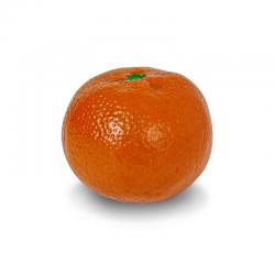 BUZZ 리얼사이즈 귤 과일쉐이커 BU-MD