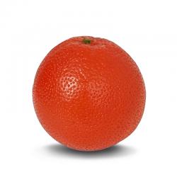 BUZZ 리얼사이즈 자몽 과일쉐이커 BU-GP