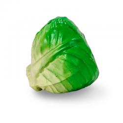 BUZZ 리얼사이즈 양배추 야채쉐이커 BU-CB