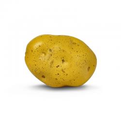 BUZZ 리얼사이즈 감자 야채쉐이커 BU-PTT